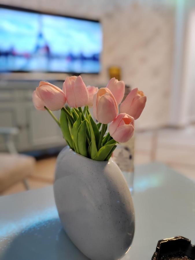 Apartmán Nora 1 Sremska Mitrovica Exteriér fotografie